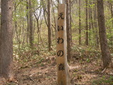 2011春葛巻植樹祭 001