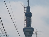 薪ストーブ　スカイツリー　３