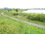 薪ストーブ　埼玉県　５