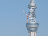 薪ストーブ　スカイツリー　２