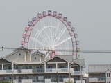 薪ストーブ　千葉県　２