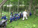 里山の育成