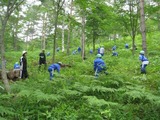 里山の育成２