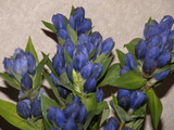 2011夏の薪ストーブ屋 005
