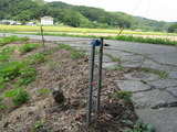 mennte 006