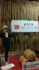 薪６