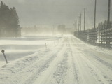DSCN4901