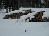 DSCN4959