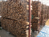 DSCN4955