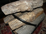 DSCN4954