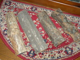DSCN4952
