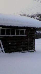 2012010308070000