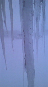 2012021217140000
