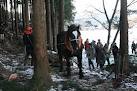 薪を運ぶ馬　岩手