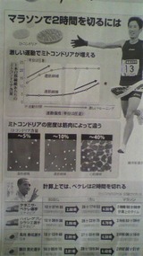 ミトコンドリア
