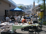 植樹祭　１９