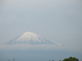 薪ストーブ　静岡県　５